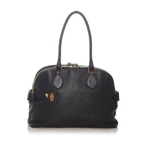 Fendi Selleria Leather Shoulder Bag (SHG-27721)